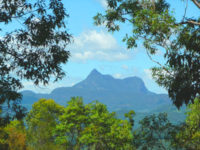 Mt-Warning.jpg